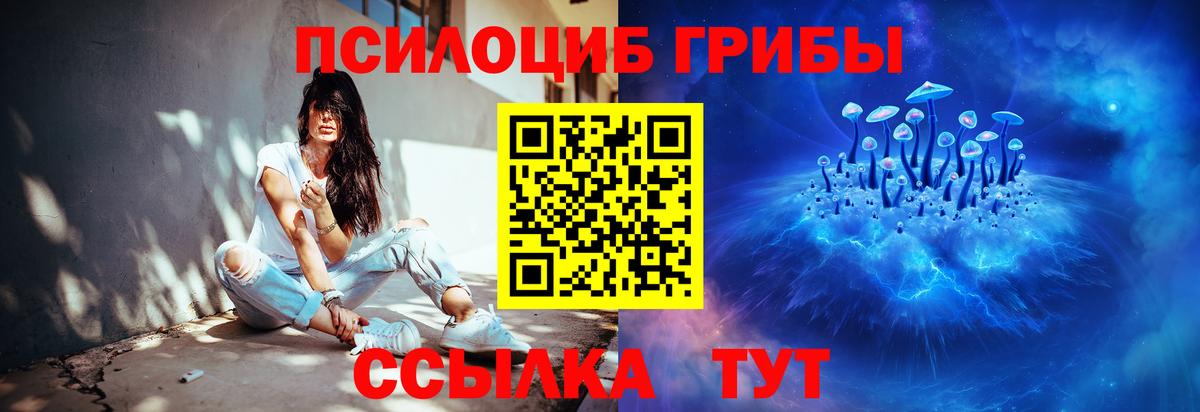 Псилоцибиновые грибы Psilocybe  купить  сайты  Новокубанск  Вход с VPN 
